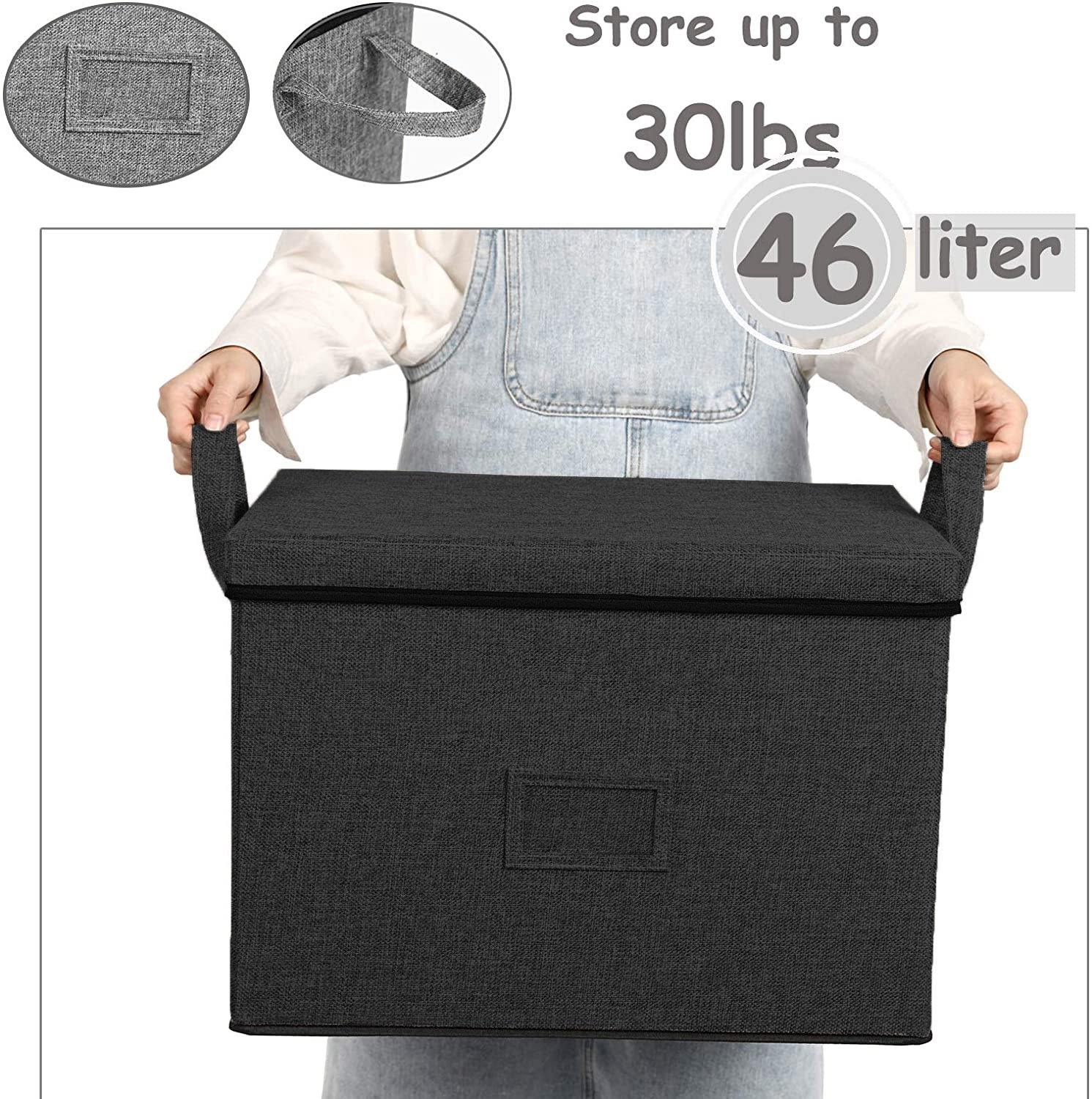 DOUBLE R BAGS Large-Capacity Foldable Storage Bin Box with Lid Cover and Handle (Black)(Strg-4B1) - Double R Bags