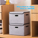 Storage Box with Lids Covers