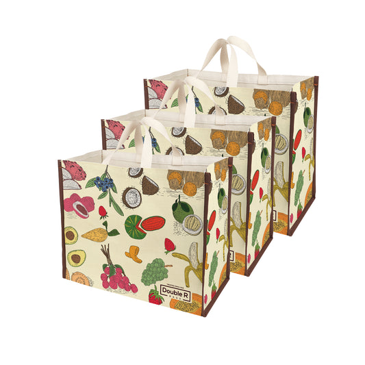 Cotton Canvas Grocery Shopping Bags for Carry Milk Fruits Vegetable with Reinforced Handles Pack of 3